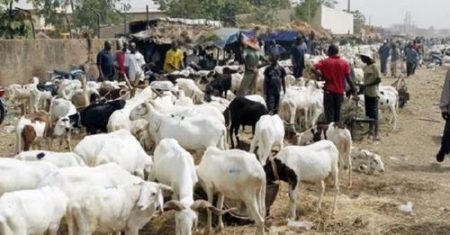Le stock de moutons invendus au lendemain de la tabaski
